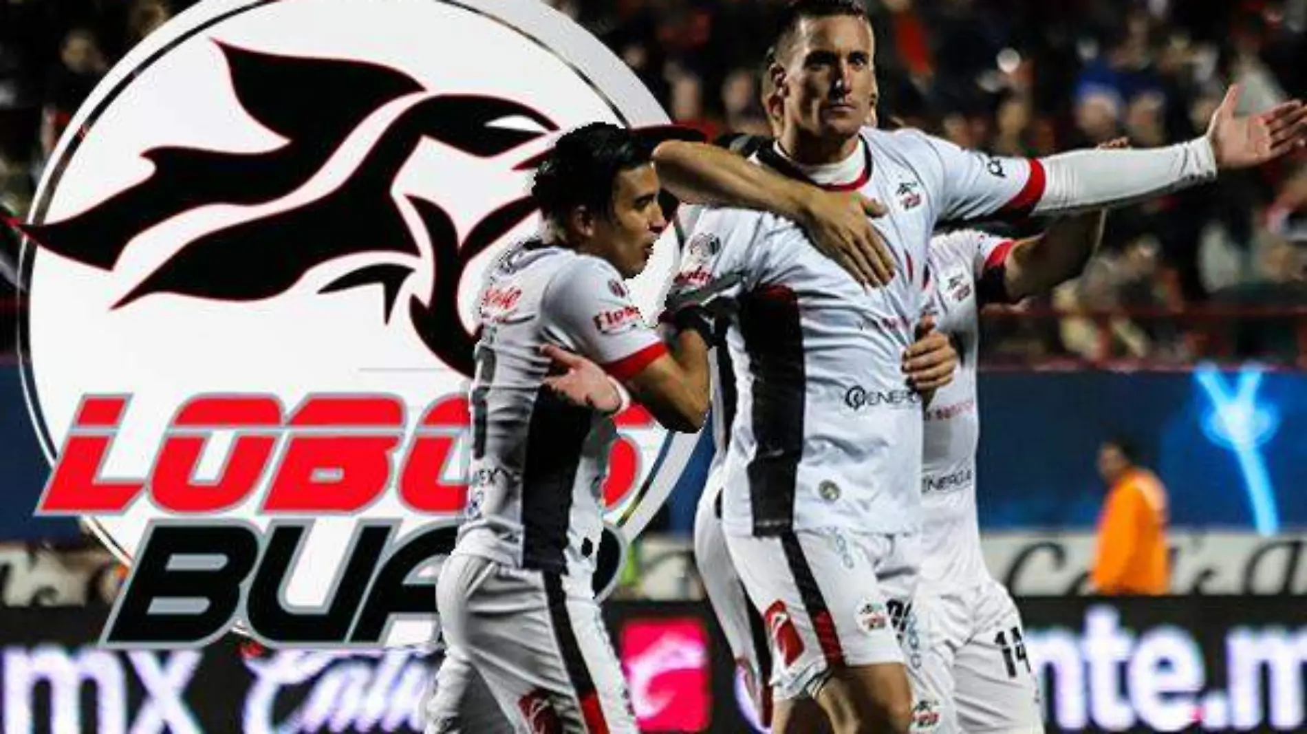 Lobos Leo tijuana